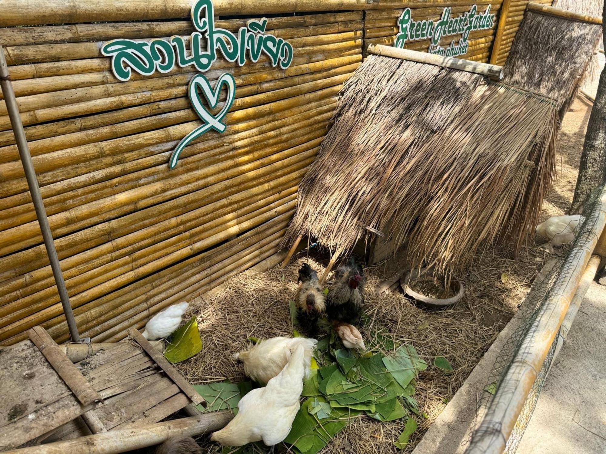 Greenheart Garden View Camp Phuket Kata Exterior foto
