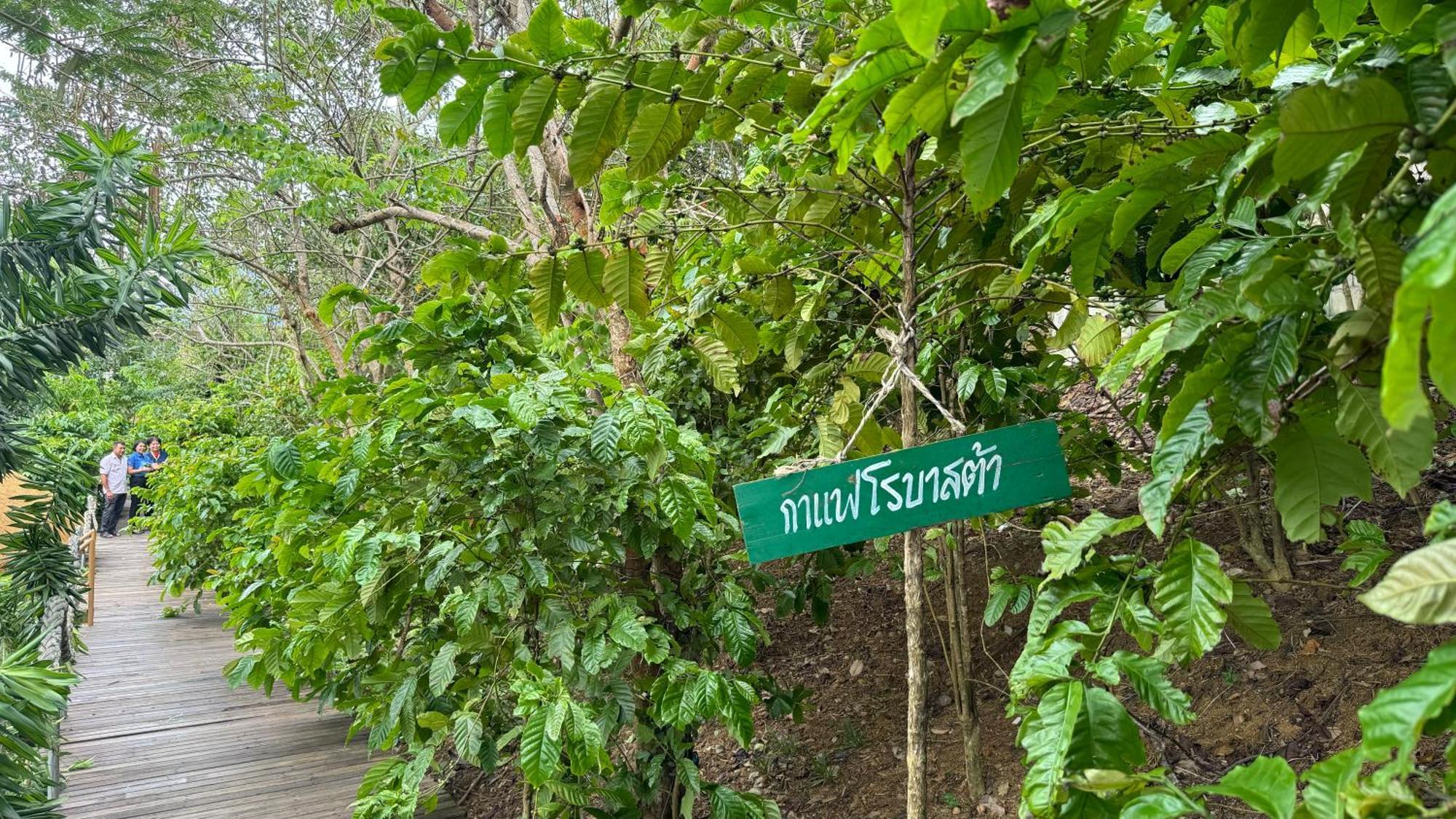 Greenheart Garden View Camp Phuket Kata Exterior foto